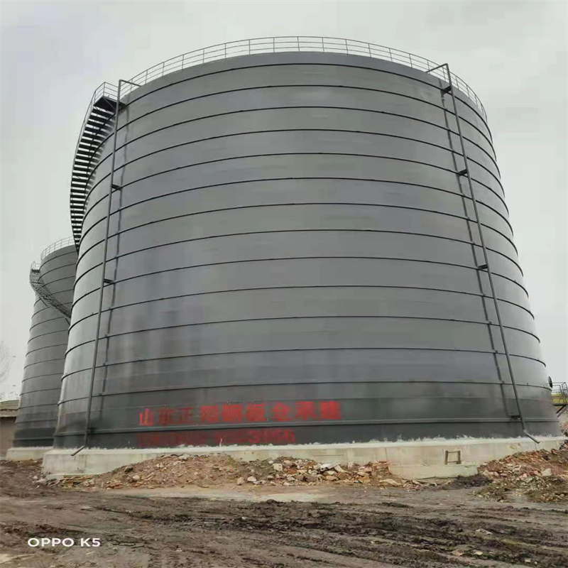 双桥3万吨大型钢板库