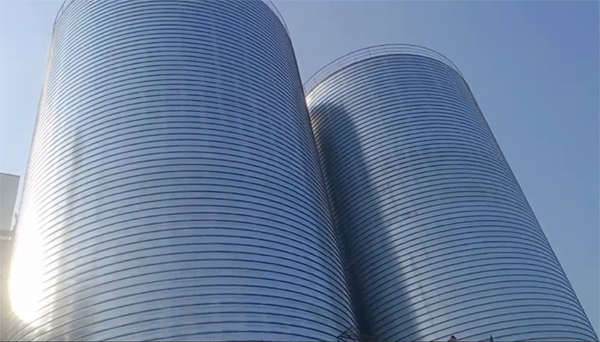 双桥2座混凝土高架卷板仓